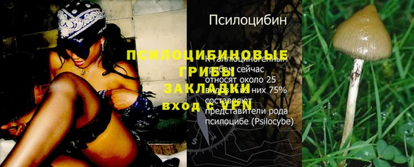 круглые Алзамай